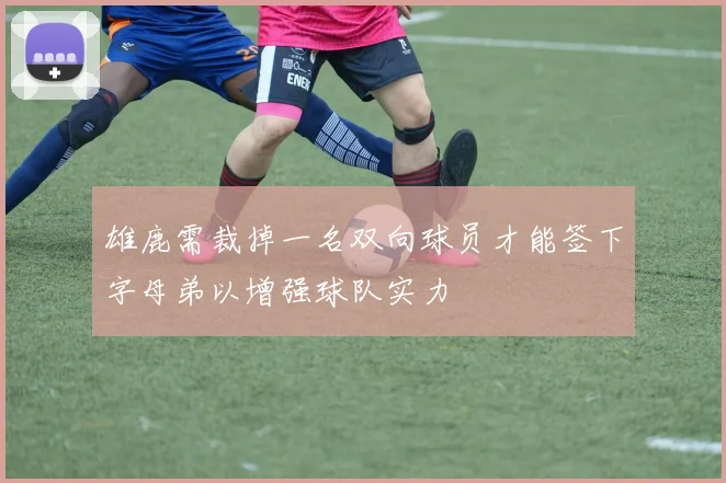 雄鹿需裁掉一名双向球员才能签下字母弟以增强球队实力