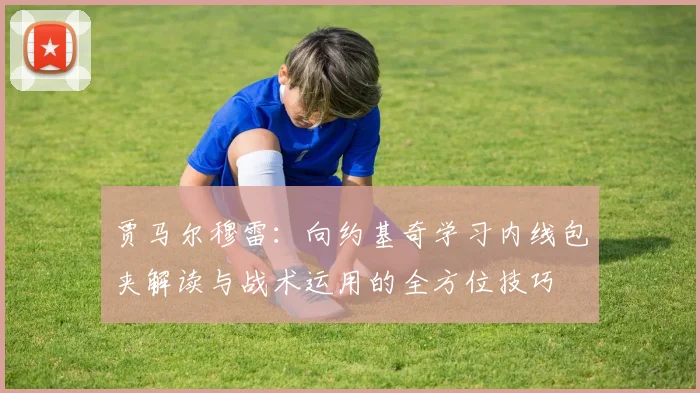 贾马尔穆雷：向约基奇学习内线包夹解读与战术运用的全方位技巧
