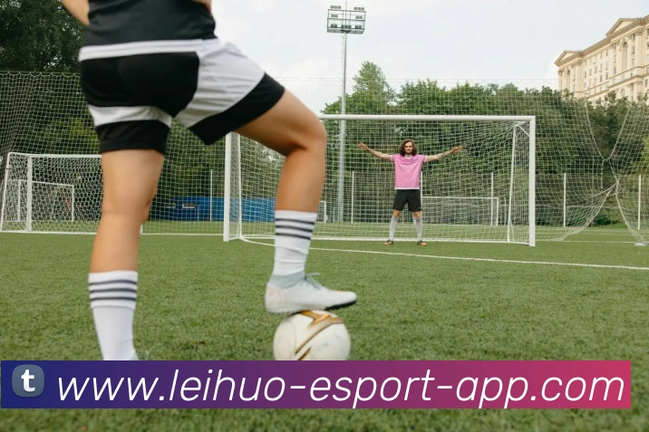 App Interface Preview